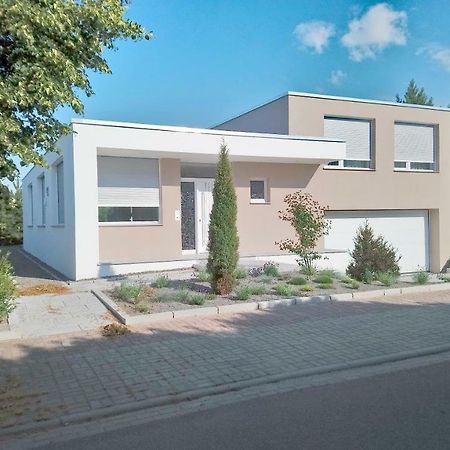 Zimmer In Zoschen Dış mekan fotoğraf